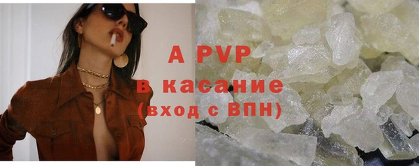 дживик Богородицк