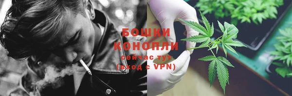 прущие грибы Богданович