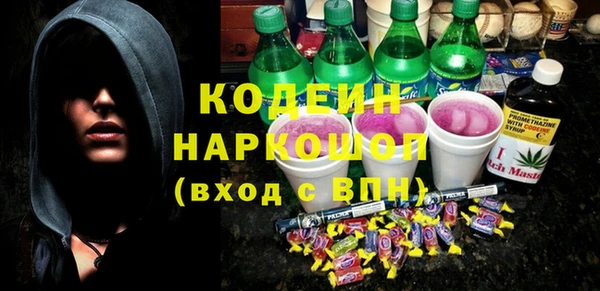 прущие грибы Богданович