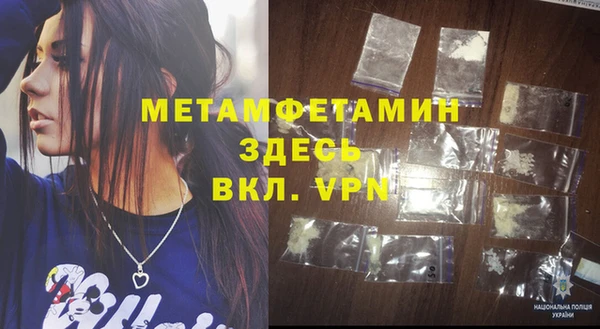 прущие грибы Богданович