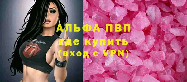 прущие грибы Богданович