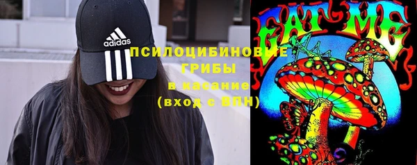 дживик Бронницы