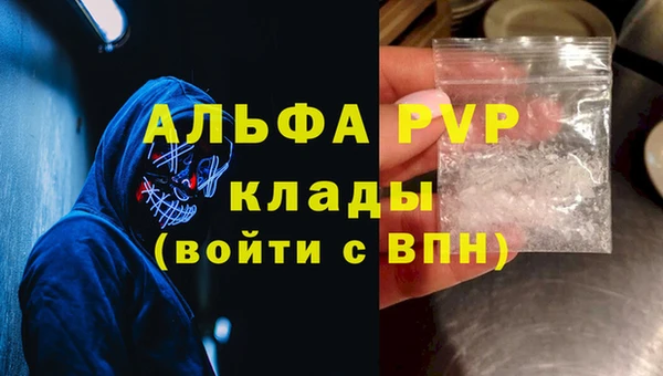 прущие грибы Богданович