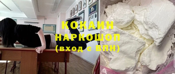 прущие грибы Богданович