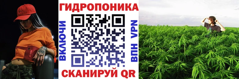 Марихуана Amnesia  KRAKEN ONION  Дубна 